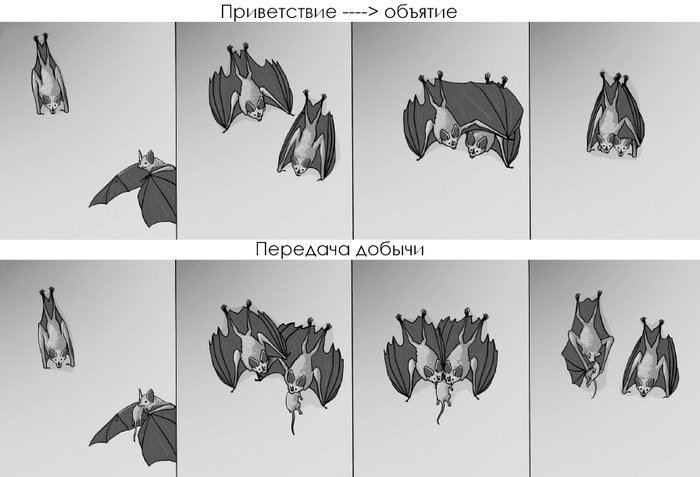 ����������� �� ������ � ������� �PLOS One�