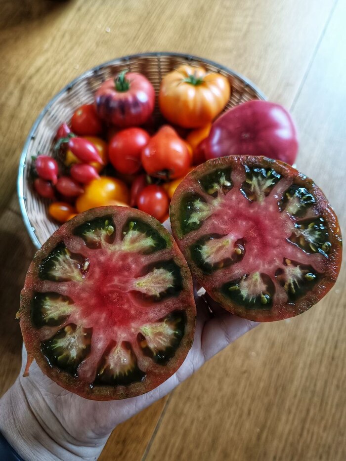 Полосатый кабан