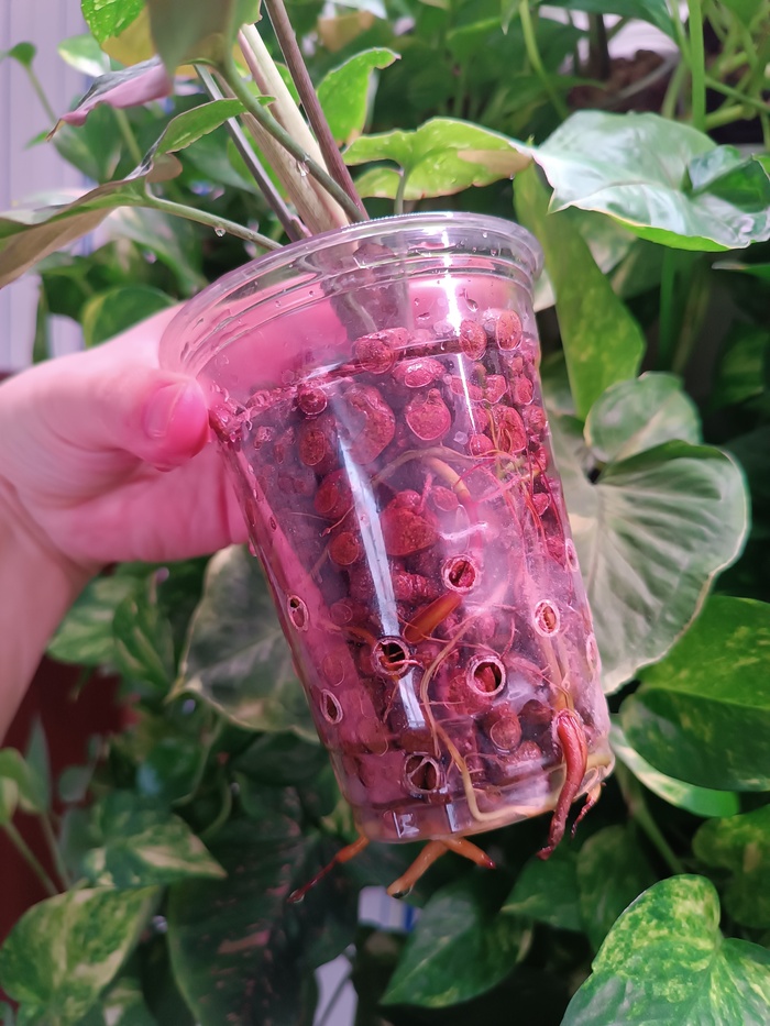 ���������� ��� ���������