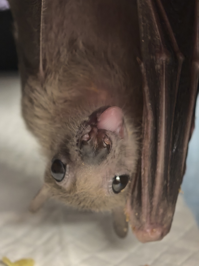 ..����� ����������, ����� �������, ���������� ��������� ������-������