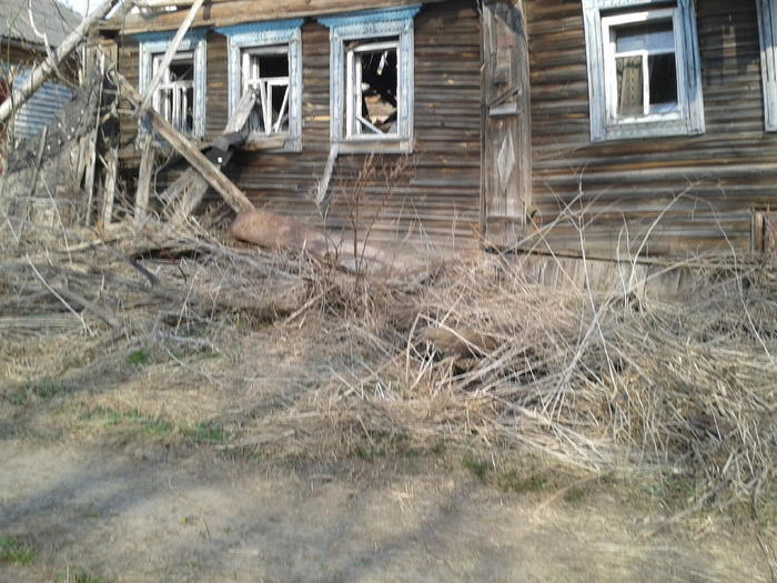 ��������� ���