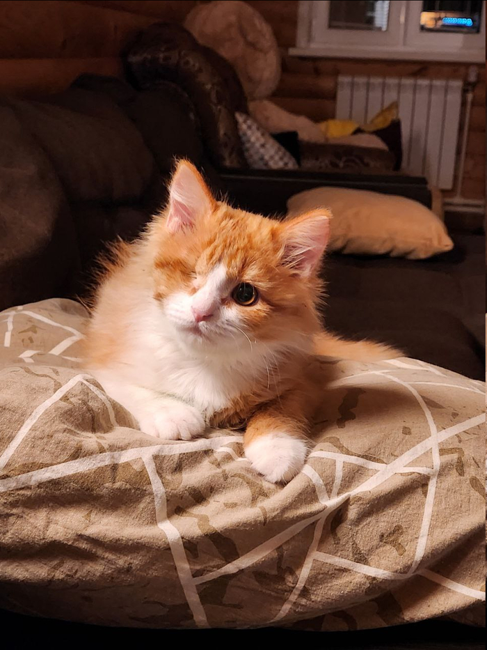 Бруня не пробегала? Я б куснул!