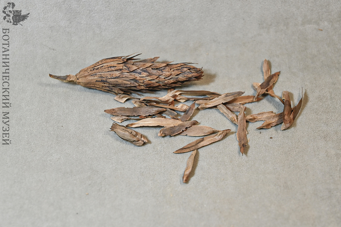 �������� ������������� � ������������� � ����������. �� ������ ������������� ����� ��� ���.