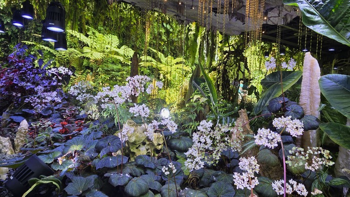 � ��� ����� ������������ ������ ����� �� ������