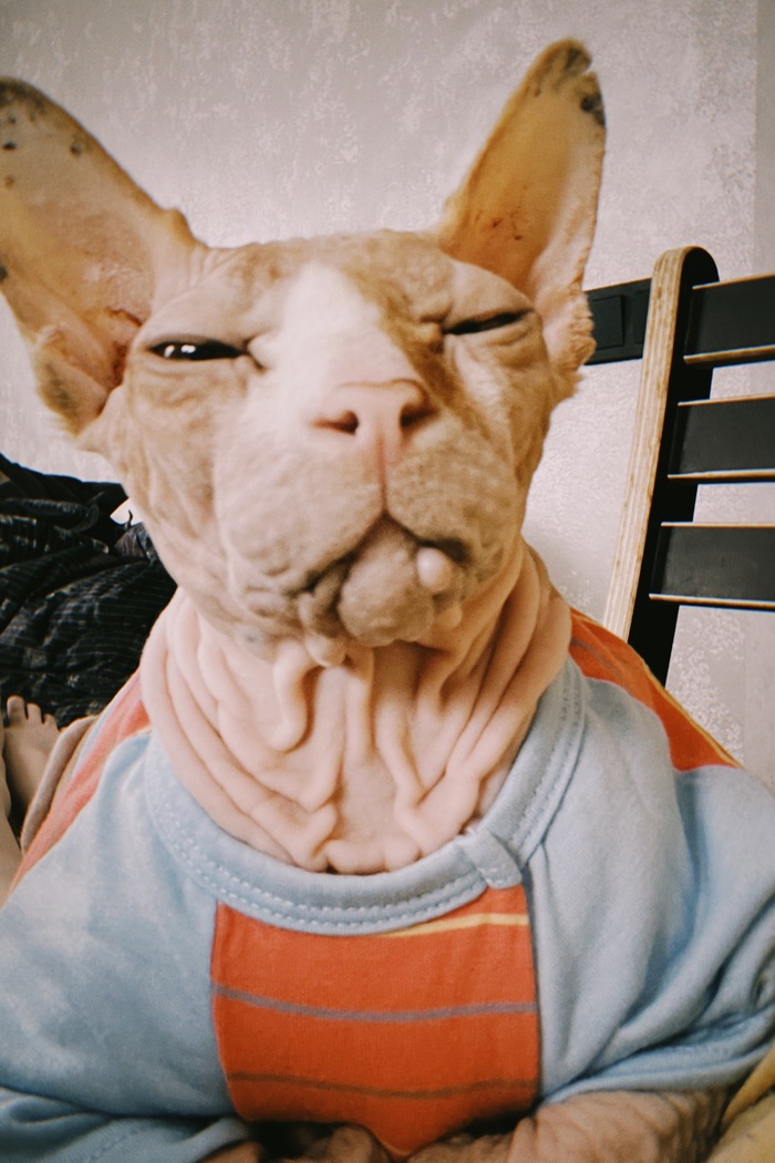 ���� ���� �� �������