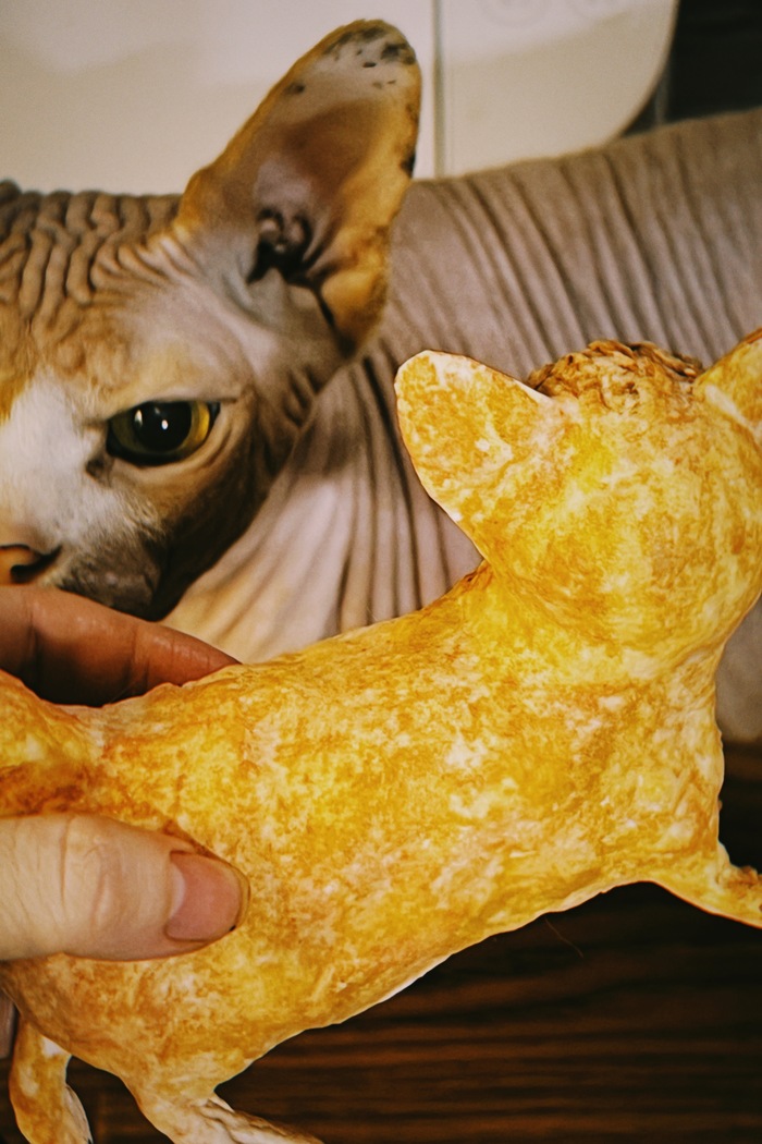 � ��� ��� ������ ������� ������� ����!