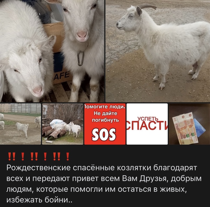 ���� �� ����?