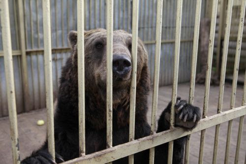 ...� ����. �� �������� ����, ��� ���� � �� ��.