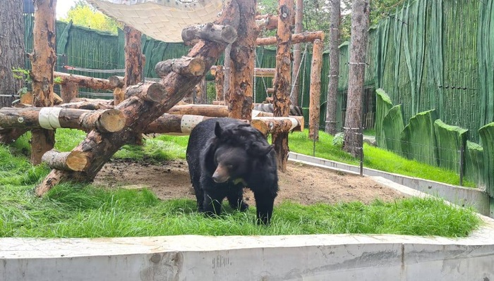 �������....