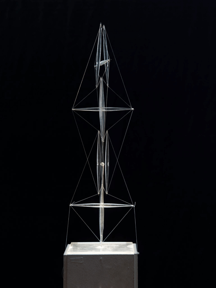 �������� ��������, ������ (1966)