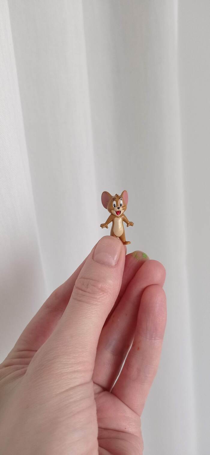 ������ ������� ������ ������ �� ���� ����,�� ����� ������ ����� ����