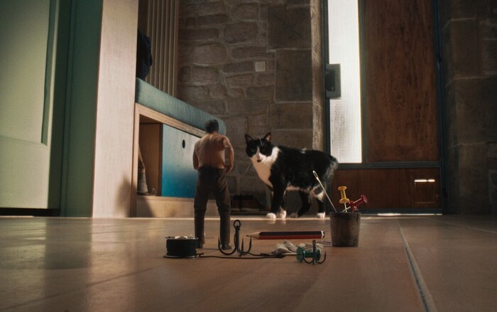 ���� �� ������ "�������, � ����������"