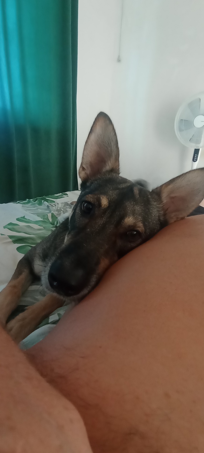 ��� ��� ������ ���� ���)