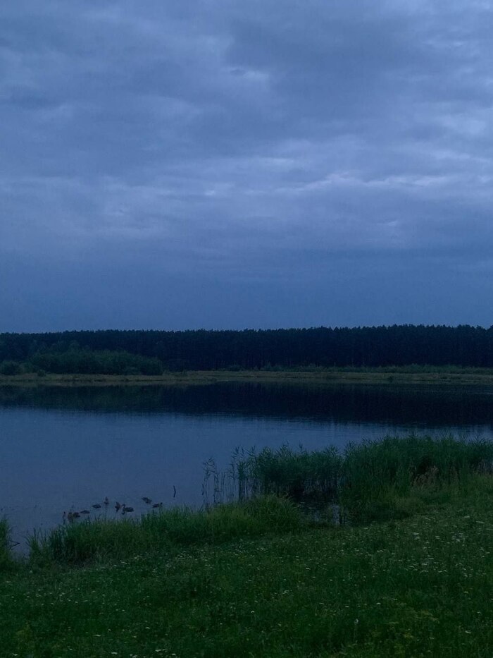 166 ���� ������� #123