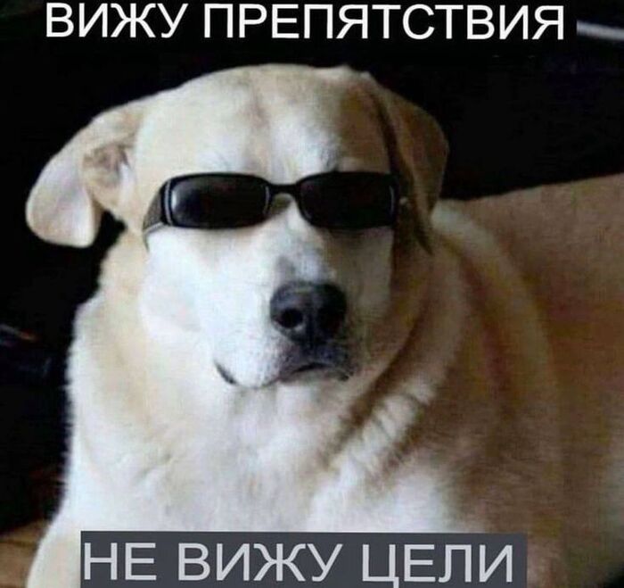 Цели и препятствия