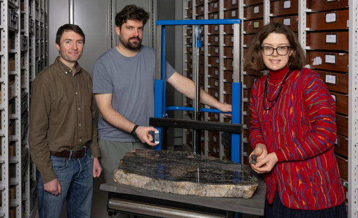 ������������� ����� ����������� (�����), �������� ����� (� ������) � ���� ����� (������) � ��������� ������������� ���� Prototaxites.