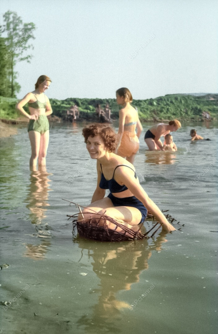 ��������: �������� �������