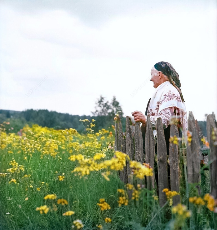 ��������: �. �������