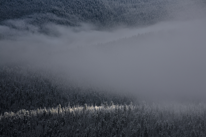 ������, ����� � "�����"