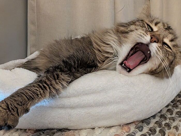 Тунеядец Голубов глаза продрал, полдень, надо в лабаз идти