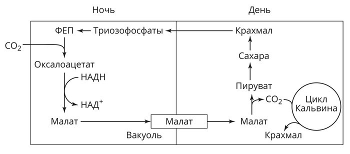 ����� ����������� ������� � ����� �������� ��� ���-����������������� ��������