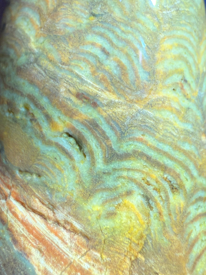 Полосатый яшмоид