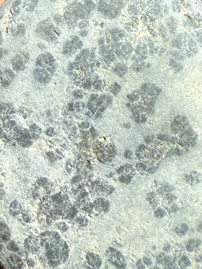 ЧТо-то осадочное цвета типичного Красноярского снега в городе )