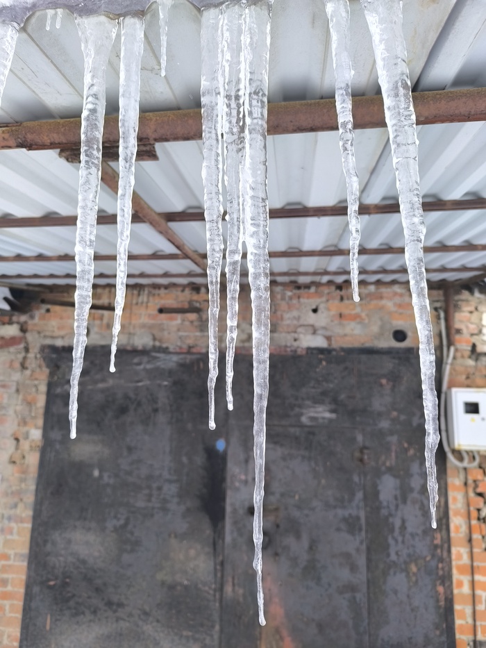 ����� ��������� ����