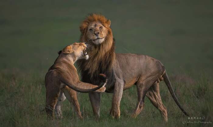 �� ������ ������ ����� ���������?