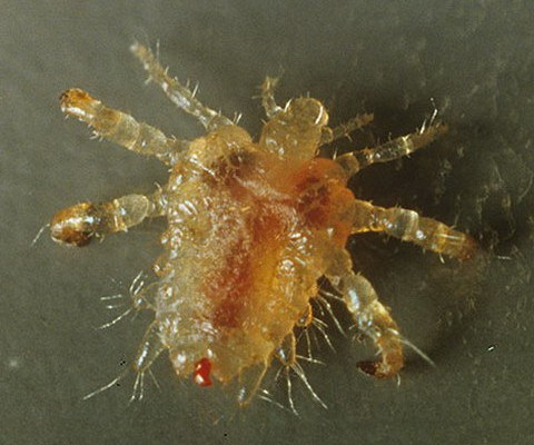 ����� �� ���� ���� � �� ������� ���� ��� �������