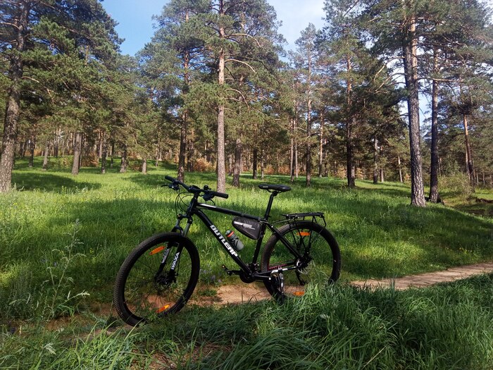 ���� ��������, ��� ��� ����������� ����� ��������!