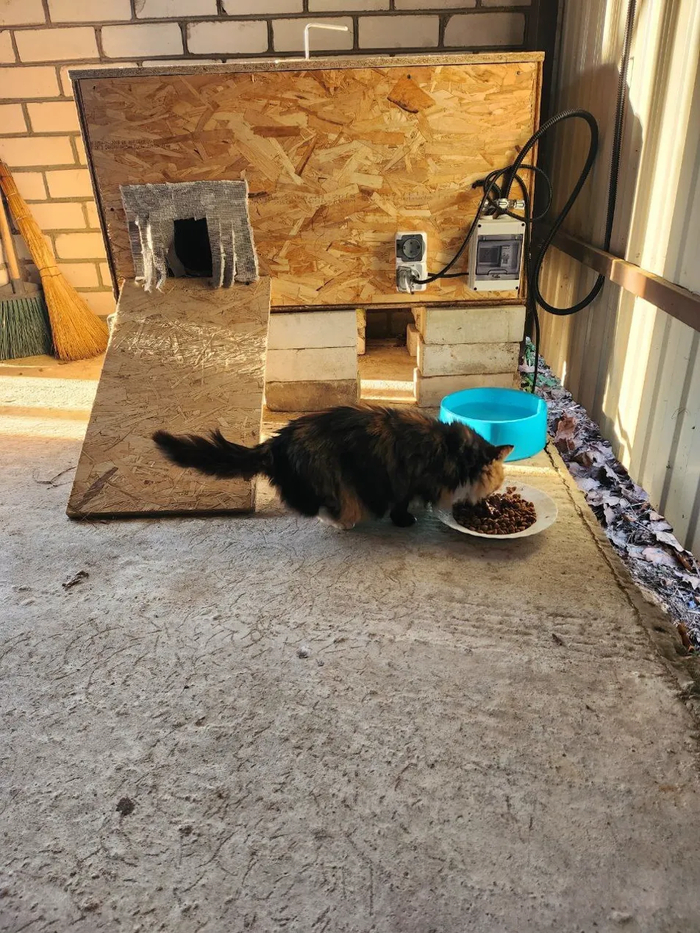 ������� �� ��������� "��������� �����"