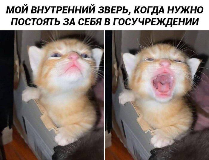 ������ ��� ��� �������