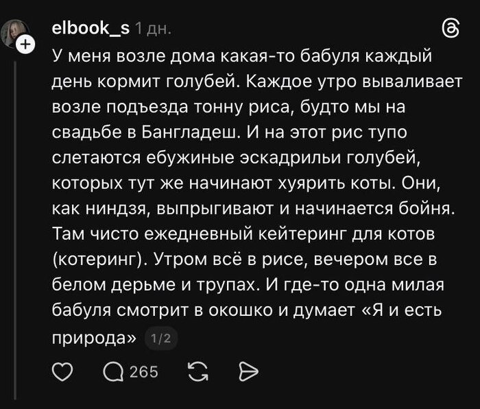 �� � ���� �������