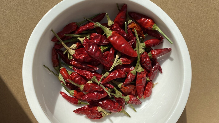 ���� ��� ��������