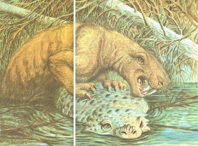 ������������� �� ��� �� ������� ������ � � ������ � ����������, ������� ���-�� �������