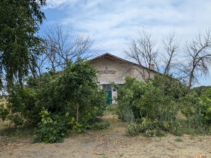 1969 ��� ���������,������� ������ � ��������������� ����������� �������� ����, � �������� �������� ������, ���� 2024 ����, ���� �������������� �� ����� �������