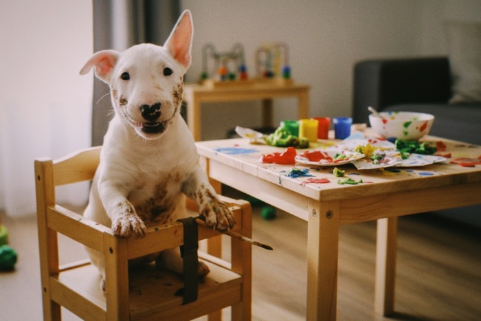 ел коричневую краску а не то что вы подумали