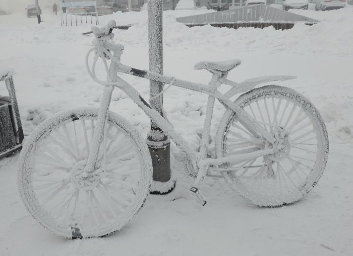 ���������� �������