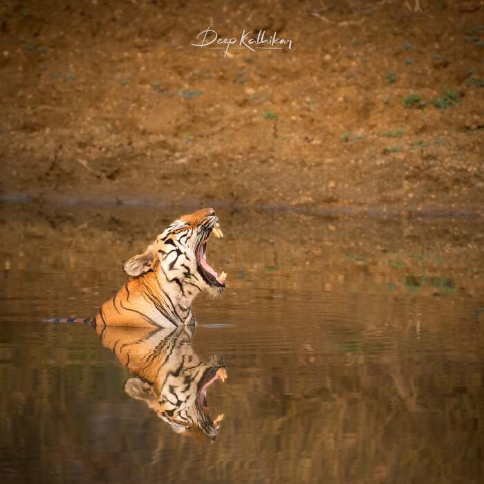 ����� � ���� ���-�� ��������� ����