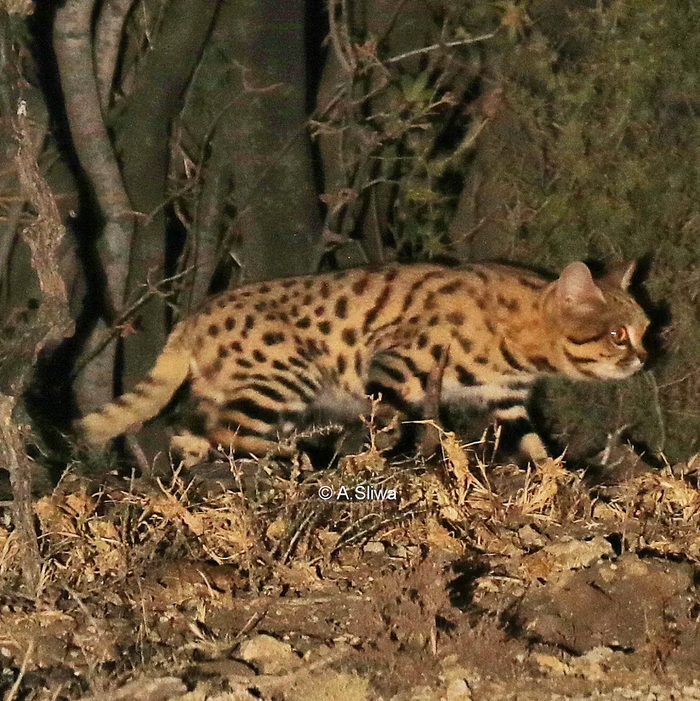 ������� ����� �������������