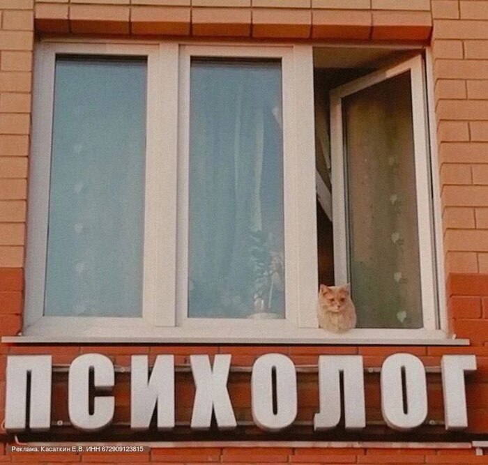 ������ ��������