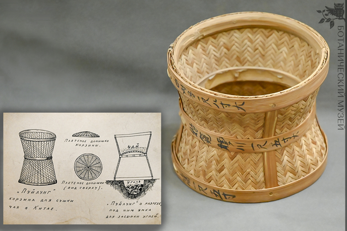 "�������" - �������� ������� ��� ����� ���. ��������� ������������� �������� ������������� ����� ��� ���.