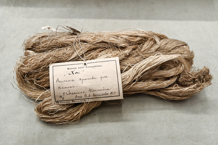 ������� ������� �������������. ��������� �.�. ���������� � ��������, 1913 ���. ����� ������������� ����� ��� ���.