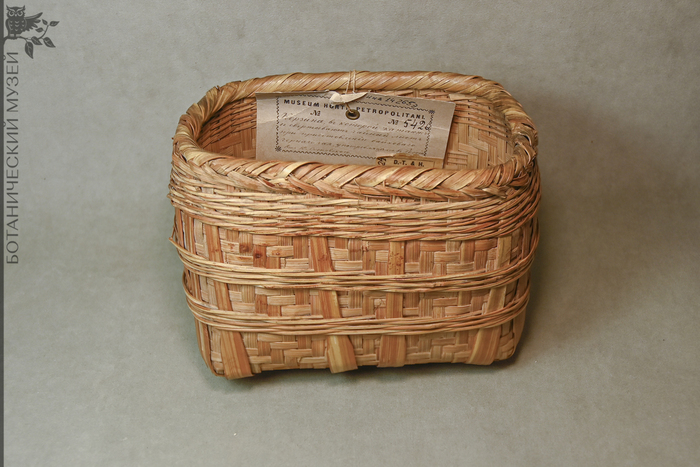 ������� ��� ���������� ���. �����. �� �.�. �����������. ��������� ������������� �������� ������������� ����� ��� ���.