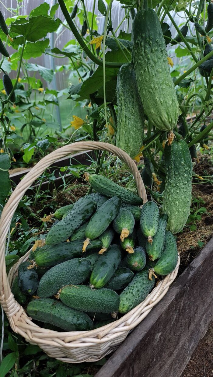 ������� ��������� � ��������� �������� �������