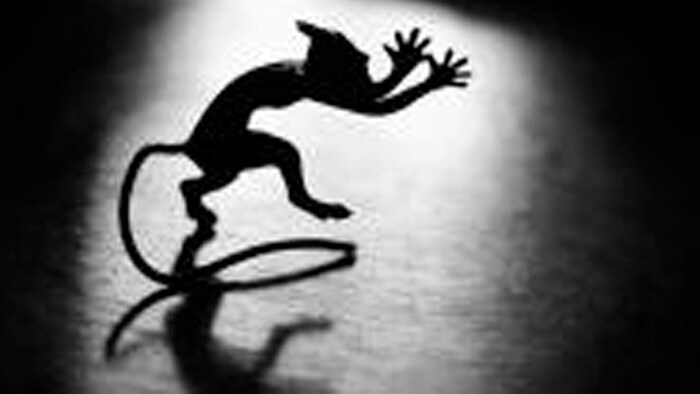 ׸�� �� ����� ��������