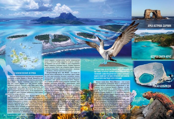 �������� ������� �� 2000-�