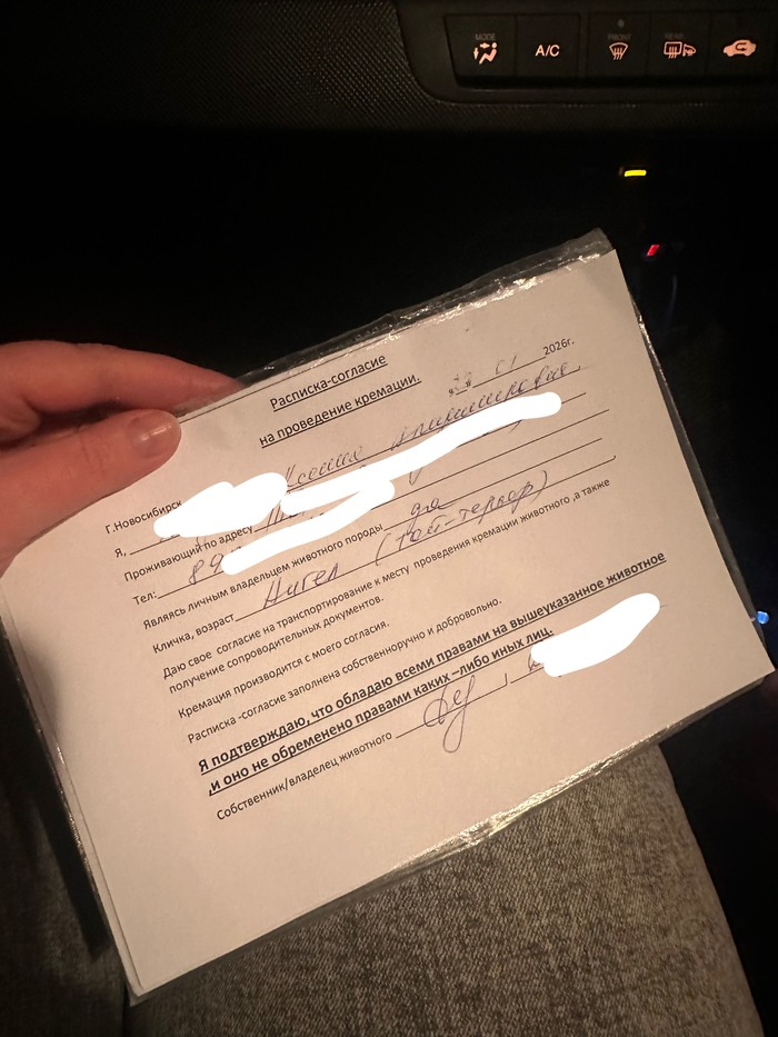«Спасибо» другу