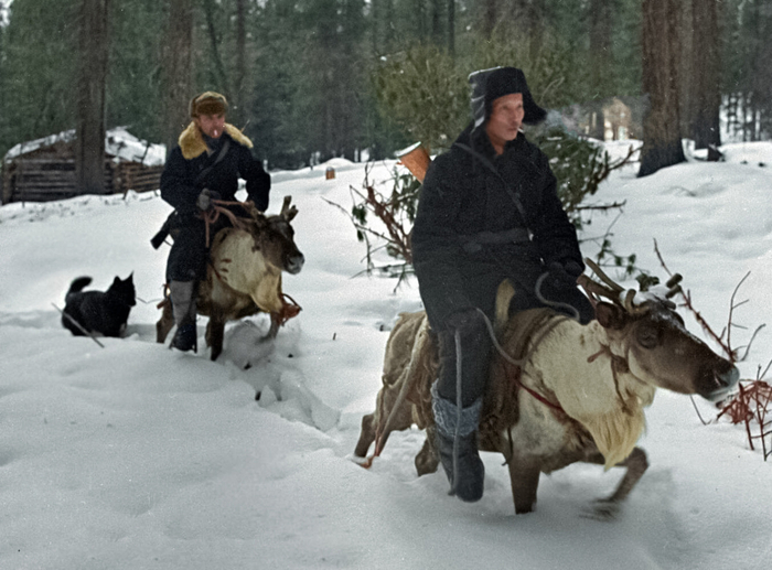 ��������: ��� ���������